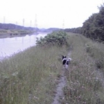 Thumbnail of post image 050