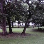 Thumbnail of post image 154