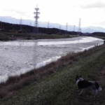 Thumbnail of post image 084