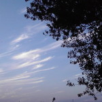 Thumbnail of post image 187