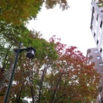 Thumbnail of post image 165