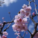 Thumbnail of post image 070