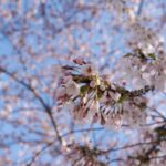 Thumbnail of post image 108